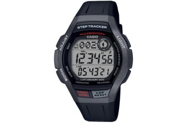 ws2000h