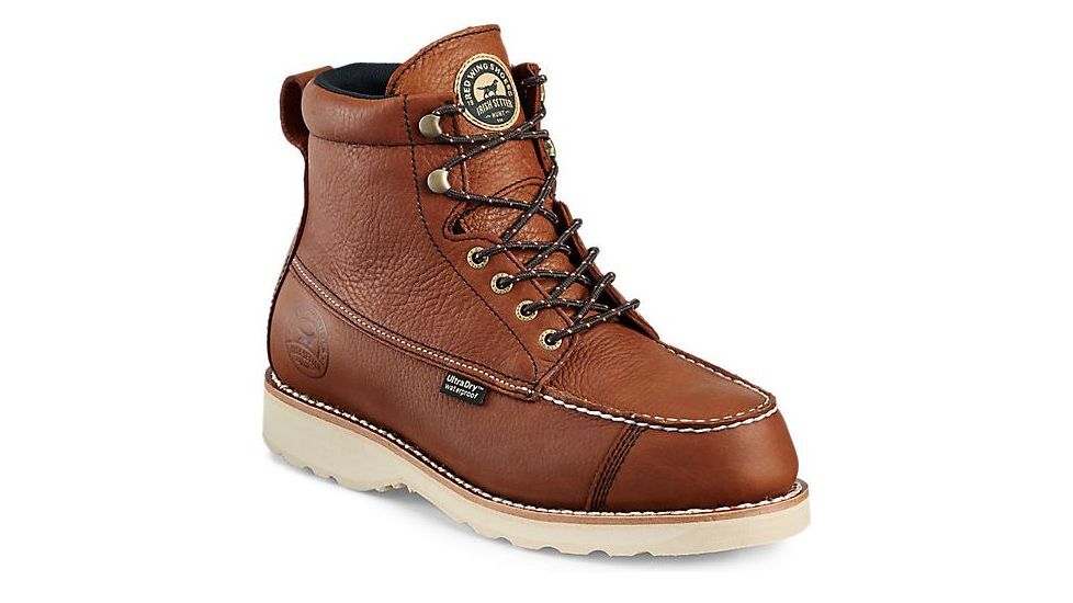 838 irish setter