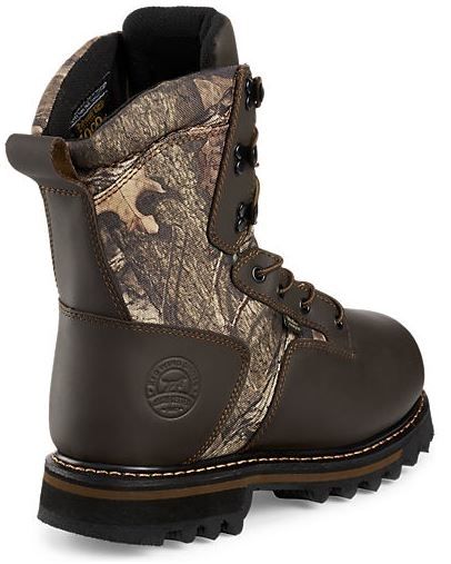 irish setter 2813
